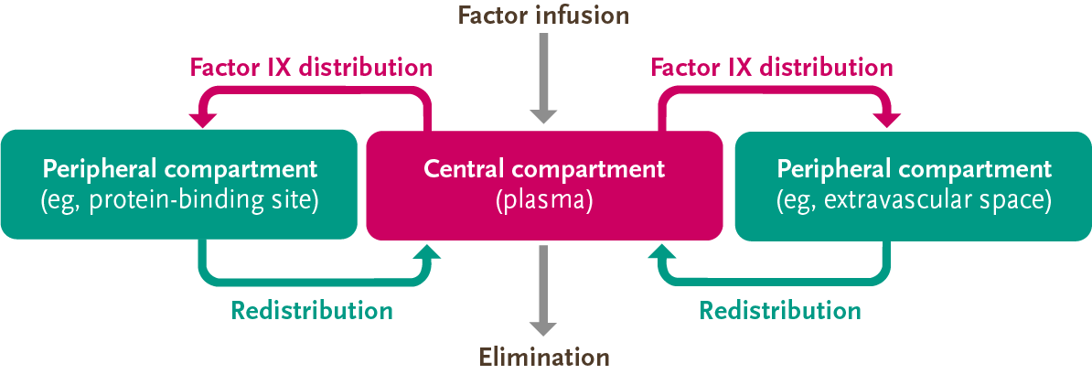 Factor IX 3-compartment model